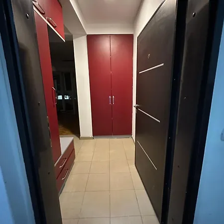 Gogo Scopia